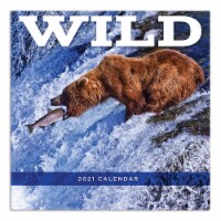TF Publishing Wild 2021 Wall Calendar Perspective: Main