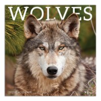 TF Publishing 2021 Wall Calendar – Wolves Perspective: Main