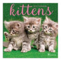 TF Publishing 2021 Mini Wall Calendar – Kittens Perspective: Main