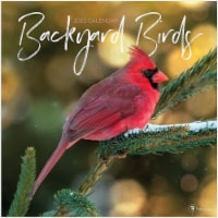 2022 Backyard Birds 12 Month Wall Calendar by TF Publishing Perspective: Main