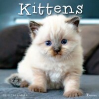 TF Publishing 2022 Kittens Wall Calendar Perspective: Main