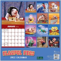 2022 Playful Pigs Wall Calendar by TF Publishing Perspective: Main