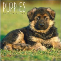 2022 Puppies 12 Month Wall Calendar by TF Publishing Perspective: Main