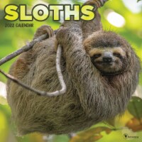 TF Publishing 2022 Sloths Wall Calendar Perspective: Main