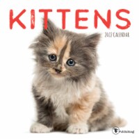 2022 Kittens Mini Calendar by TF Publishing Perspective: Main