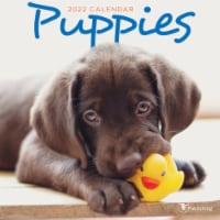 2022 Puppies Mini Calendar by TF Publishing Perspective: Main