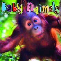 2024 Baby Animals 12 Month Wall Calendar Perspective: Main