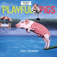 2024 Playful Pigs 12 Month Wall Calendar Perspective: Main