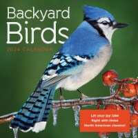 TF Publishing 2024 Backyard Birds Mini Calendar Perspective: Main
