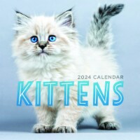 TF Publishing 2024 Kittens Mini Calendar