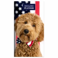 TF Publishing 2024 USA Doodle Dog Monthly Pocket Planner Perspective: Main