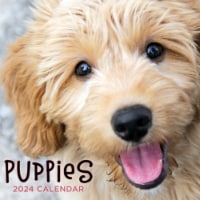 TF Publishing 2024 Puppies 12 Month Wall Calendar