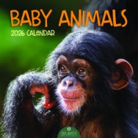 2026 Baby Animals Wall Calendar Perspective: Main
