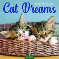TF Publishing 2026 Cat Dreams Wall Calendar Perspective: Main