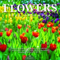 2026 Flowers 12 Month Wall Calendar by TF Publishing Perspective: Main
