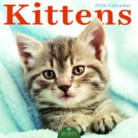 2026 Kittens Wall Calendar Perspective: Main