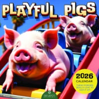 2026 Playful Pigs Wall Calendar Perspective: Main