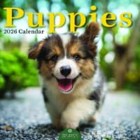 2026 Puppies 12 Month Wall Calendar by TF Publishing Perspective: Main