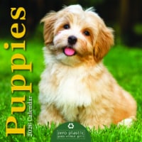 2026 Puppies 12 Month Mini Wall Calendar by TF Publishing Perspective: Main