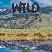 2026 Wild 12 Month Wall Calendar by TF Publishing Perspective: Main