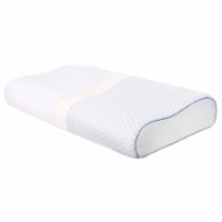 Dr. Pillow Sepoveda Memory Foam Pillow