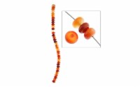 John Bead SP 8  Carnelian 6mm Rondelle