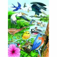 Outset Media Games OM58809 North American Birds Tray Puzzle  35 pcs Perspective: Main