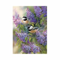 Outset Media Games OM58877 Chickadee Duo Puzzle Tray, 35 Piece