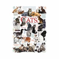 Outset Media Games OM80095 Cat Quotes Puzzle, 1000 Piece