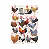 Outset Media Games OM80120 Chicken Quotes Puzzle, 1000 Piece