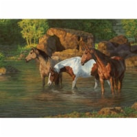 Outset Media OM85051 Horse Pond Puzzle, 500 Piece