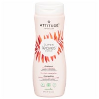 Attitude Super Leaves Color Protection Shampoo
