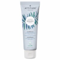 Attitude® Super Leaves™ Unscented Conditioner
