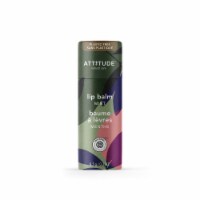 Attitude™ Coconut Lip Balm