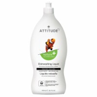 Dishwashing Liquid - Unscented