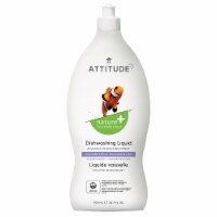 Attitude Olive & Coriander Dishwashing Liquid