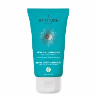 Attitude Mint & Cucumber After Sun Melt-In Gel