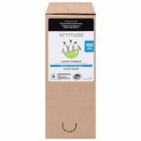 Attitude Wildflowers Liquid Laundry Detergent