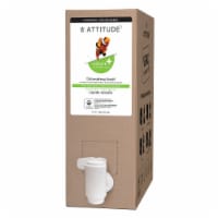 Attitude® Nature + Technology™ Green Apple & Basil Dishwashing Liquid Perspective: Main