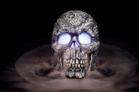 Seasons Skull Mister - Gray Perspective: Main