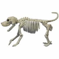 Morris Costumes SE18131 Beagle Bonez Costume Perspective: Main