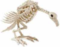 Seasons Vulture Skeleton Perspective: Main