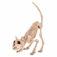 Seasons  7 x 6 x 20 in. Skeleton Kitty Bonez Halloween Decoration  Bone