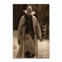 Day Dream HQ HN1624 16 x 24 in. High Noon Inside & Outside wood Wall Art