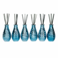 EAST CREEK 8Oz Diffuser Bottles & 48pcs Blue Fiber Sticks, Set of 6