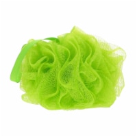 Nikki Secret Organic Mesh Bath and Shower Sponge - Sea Foam/Sage Green