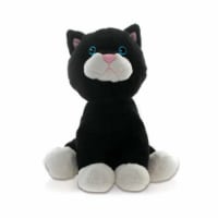 R&r Games 731 Hide & Seek Safari JR. - Cat