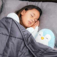 Bed Buddy Weighted Blanket 17 lbs, Adult Size -  Glass Beads, Grey
