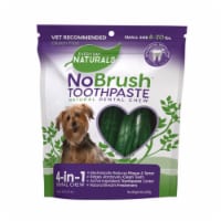 Every Day Naturals No Brush™ Toothpaste Natural Dental Chew Perspective: Main