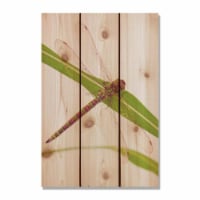 Day Dream HQ DF1624 16 x 24 in. Dragon Fly Inside & Outside wood Wall Art